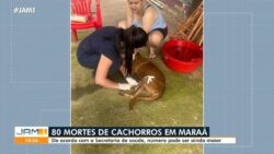 ao-menos-80-cachorros-morrem-apos-serem-contaminados-por-doenca-do-carrapato-no-interior-do-amazonas